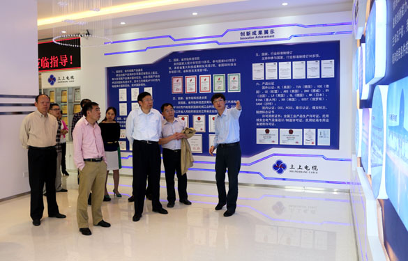2015年5月8日，江苏省政协向导、专家来新利体育luck18电缆调研