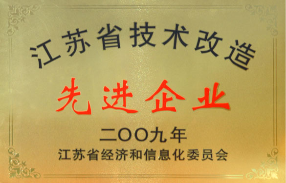 新利体育luck18获“2009年江苏省手艺刷新先进企业”称呼