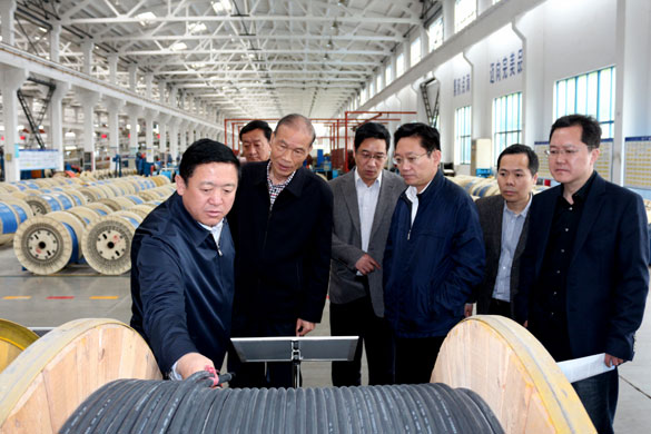 4月25日，青海省海南州州长来新利体育luck18电缆考察