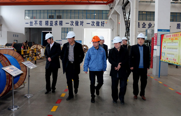 12月3日，丹江口市向导来新利体育luck18电缆旅行考察