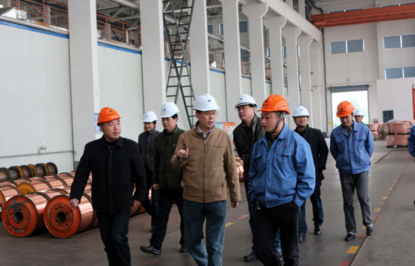 12月11日，溧阳经信局向导一行调研新利体育luck18电缆西厂区三期工程建设情形并旅行超高压生产基地