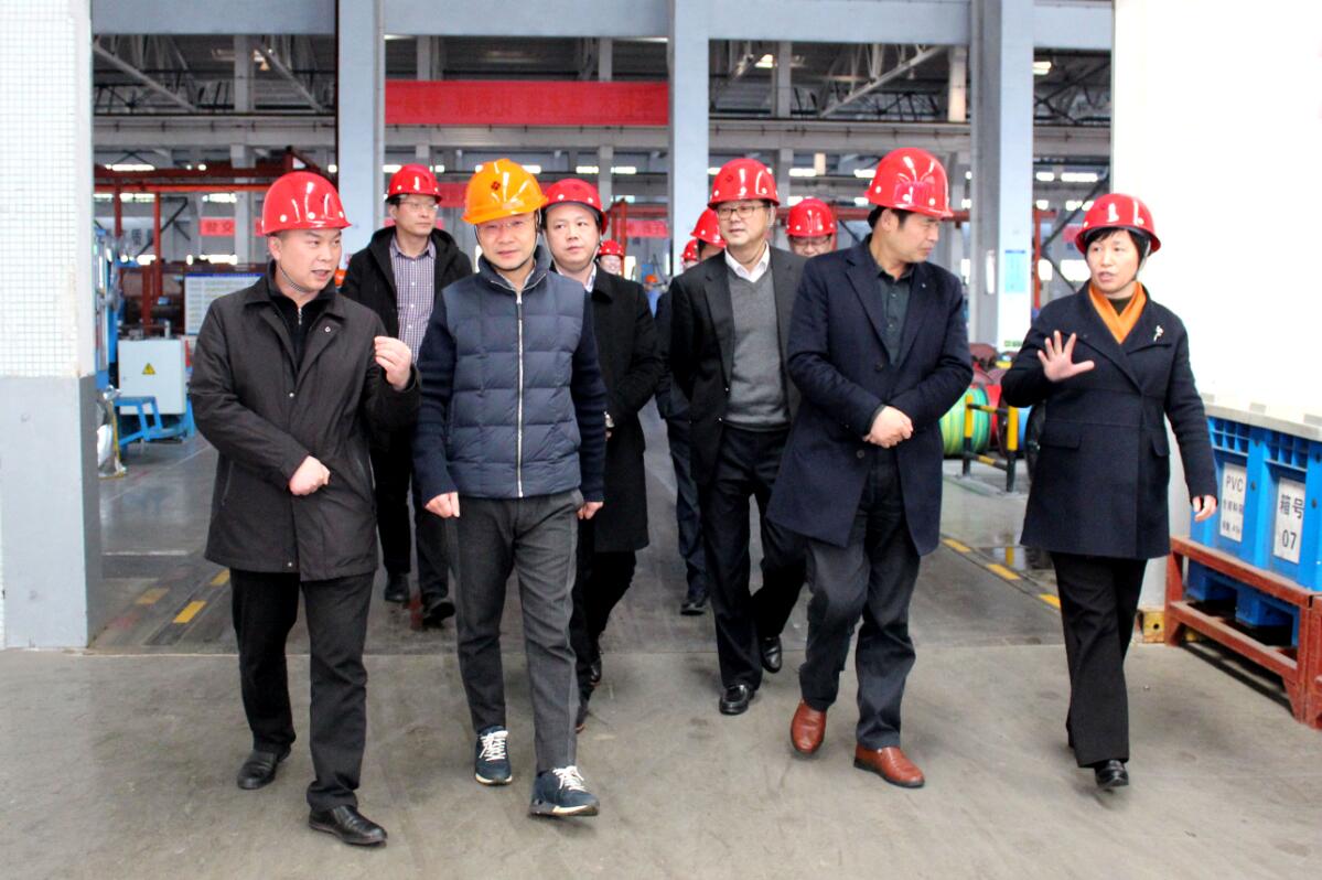 2019年3月7日，广安市岳池县考察团来新利体育luck18电缆旅行考察