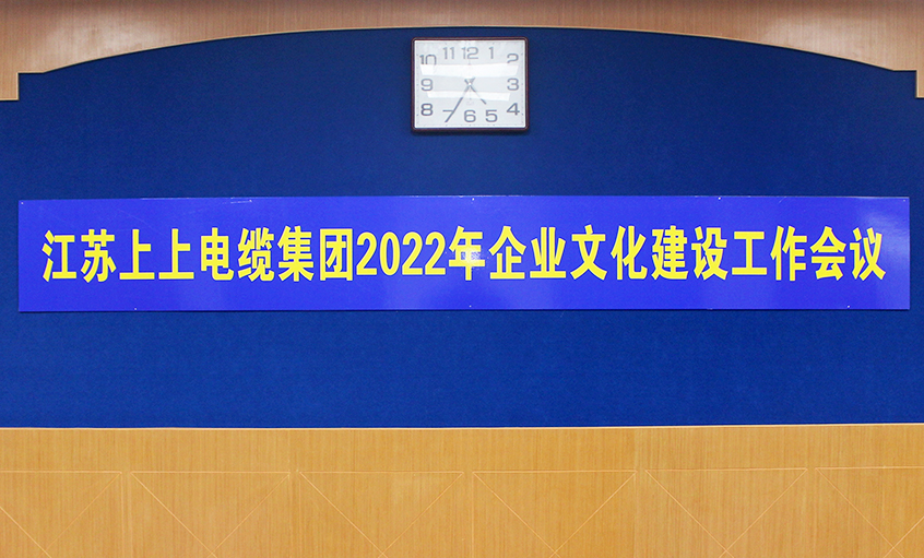 新利体育luck18电缆召开2022年企业文化建设事情聚会